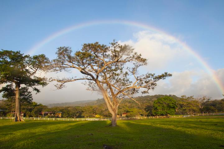 Rincon De La Vieja National Park rainbow