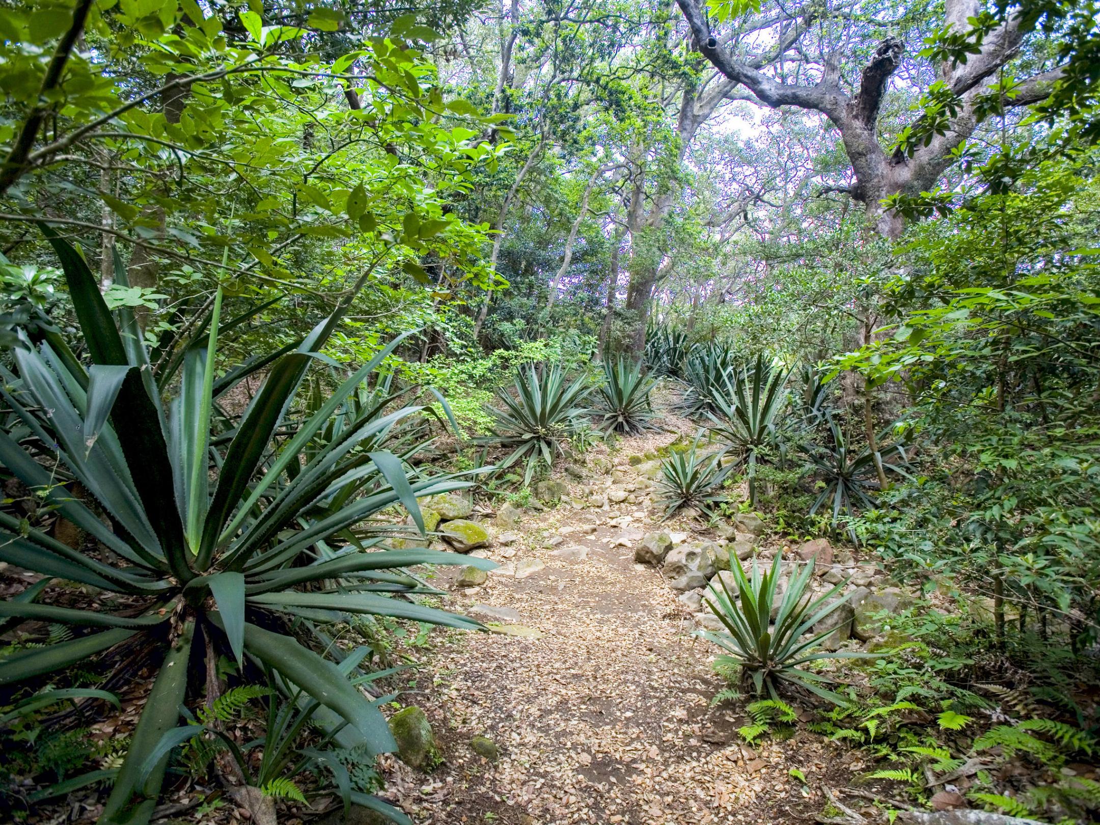 Rincon De La Vieja National Park