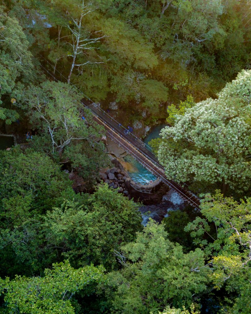 the-magic-of-the-tropical-dry-forest-during-guanacastes-dry-season