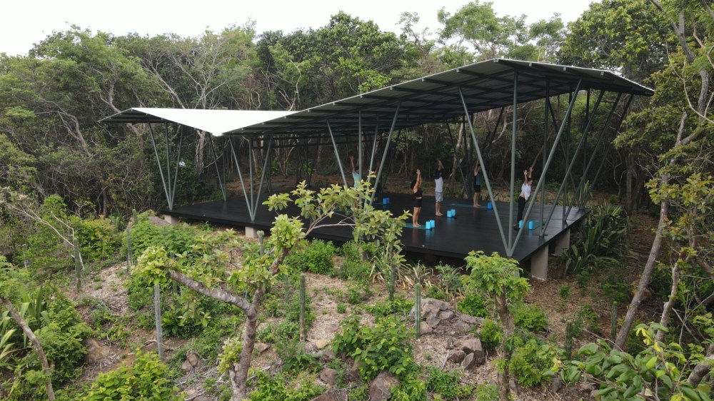 the-magic-of-the-tropical-dry-forest-during-guanacastes-dry-season