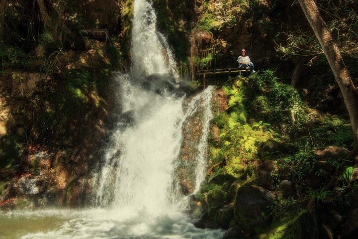 a large waterfall in a forest